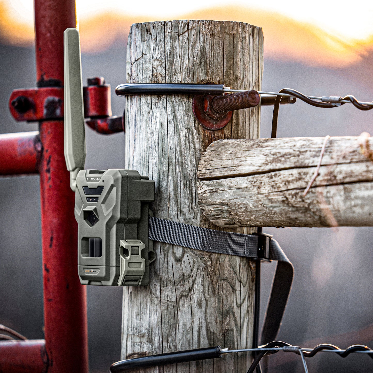 Spypoint Flex - M. 4 Pack