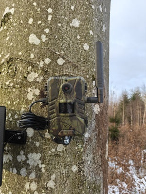 Grisekongen HM3 – Komplet 4G-pakke med Lithium-power, solcelle og 64GB hukommelse