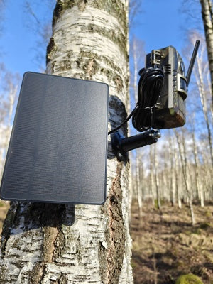 Grisekongen HM3 – Komplet 4G-pakke med Lithium-power, solcelle og 64GB hukommelse