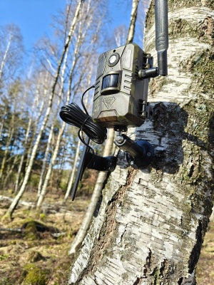 Grisekongen HM3 – Komplet 4G-pakke med Lithium-power, solcelle og 64GB hukommelse